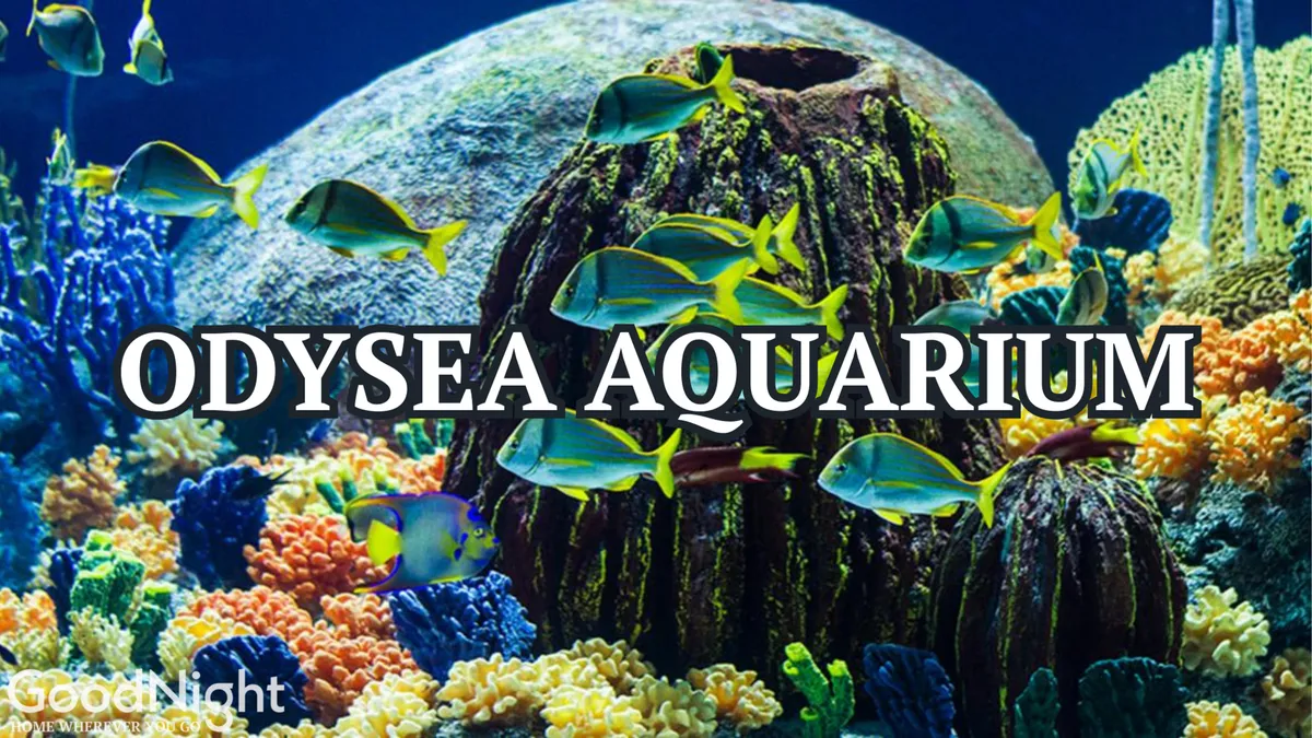 A vibrant underwater scene featuring colorful coral reefs teeming with various species of fish and a prominent underwater rock formation. The mood is lively and adventurous, inviting families to discover marine life up close.